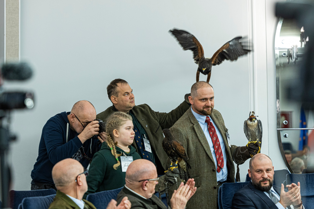 Sokolnicy w Senacie RP razem z swoimi ptakami